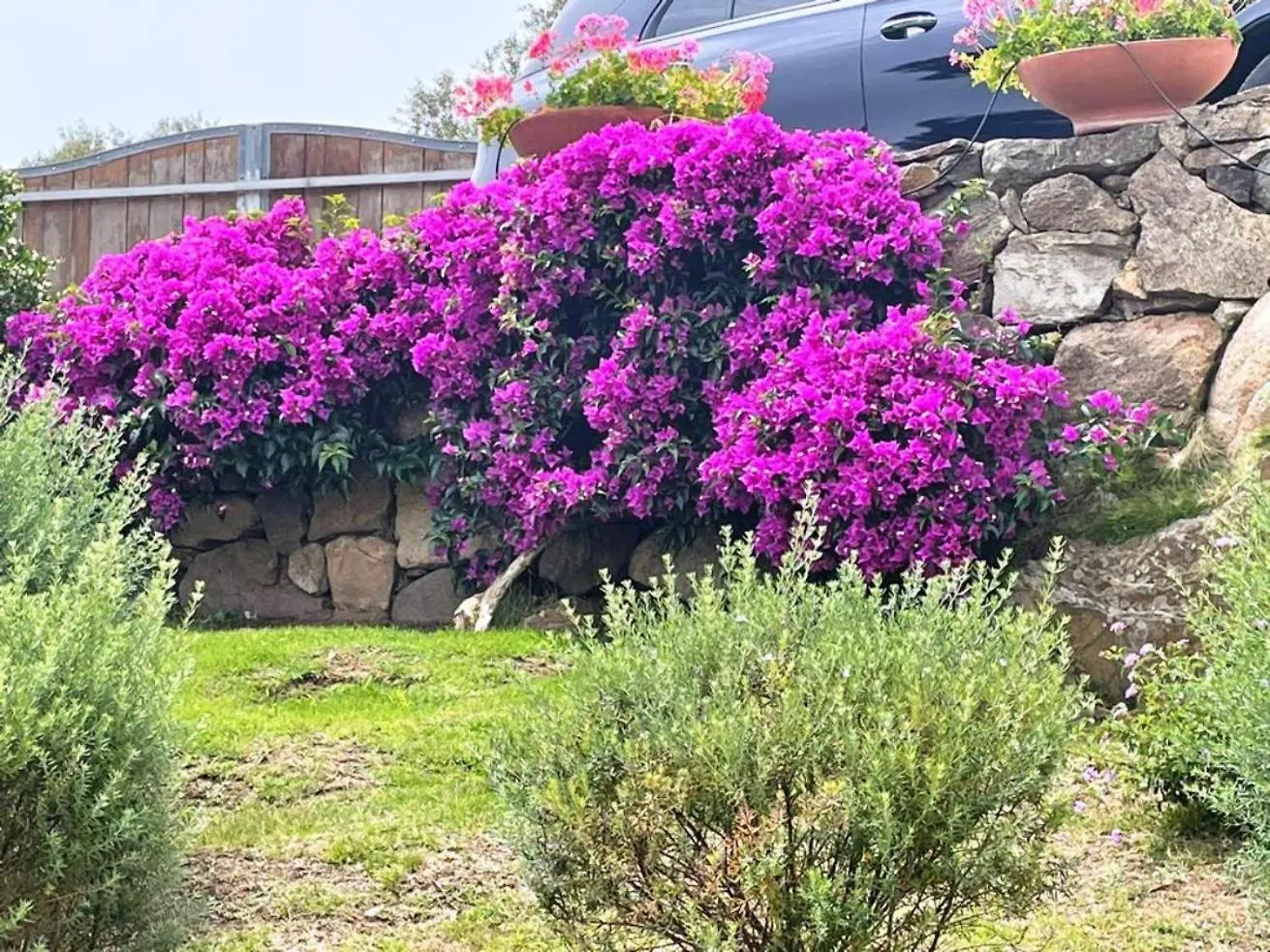 Sandy Cove Patio Villa Sul Mare Golfo Aranci Italy