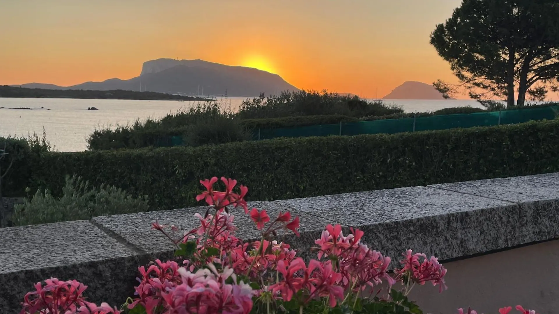 Sandy Cove Patio Villa Sul Mare Golfo Aranci Italy