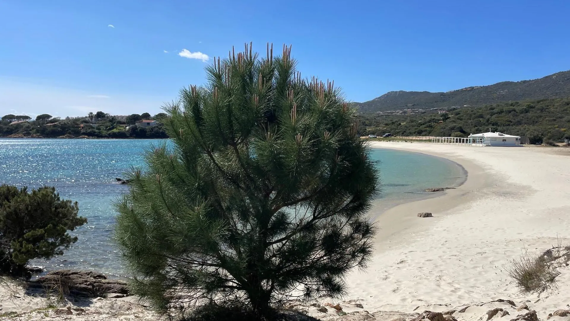 Sandy Cove Patio Villa Sul Mare Golfo Aranci